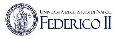 University of Naples Federico II Italy