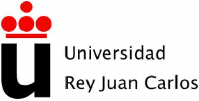 Rey Juan Carlos University Spain