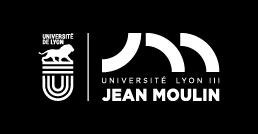 The Jean Moulin University Lyon France