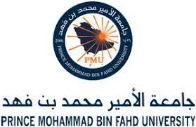 Prince Mohammad Bin Fahd University Saudi Arabia