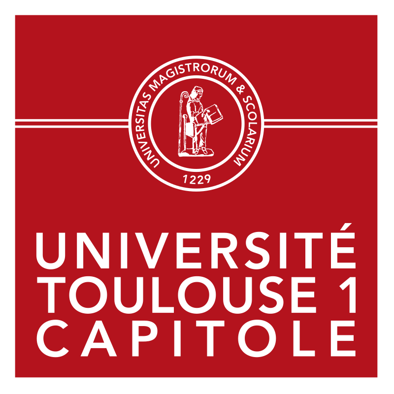 Toulouse Capitole University France