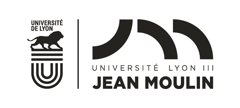 Jean Moulin University Lyon 3 France