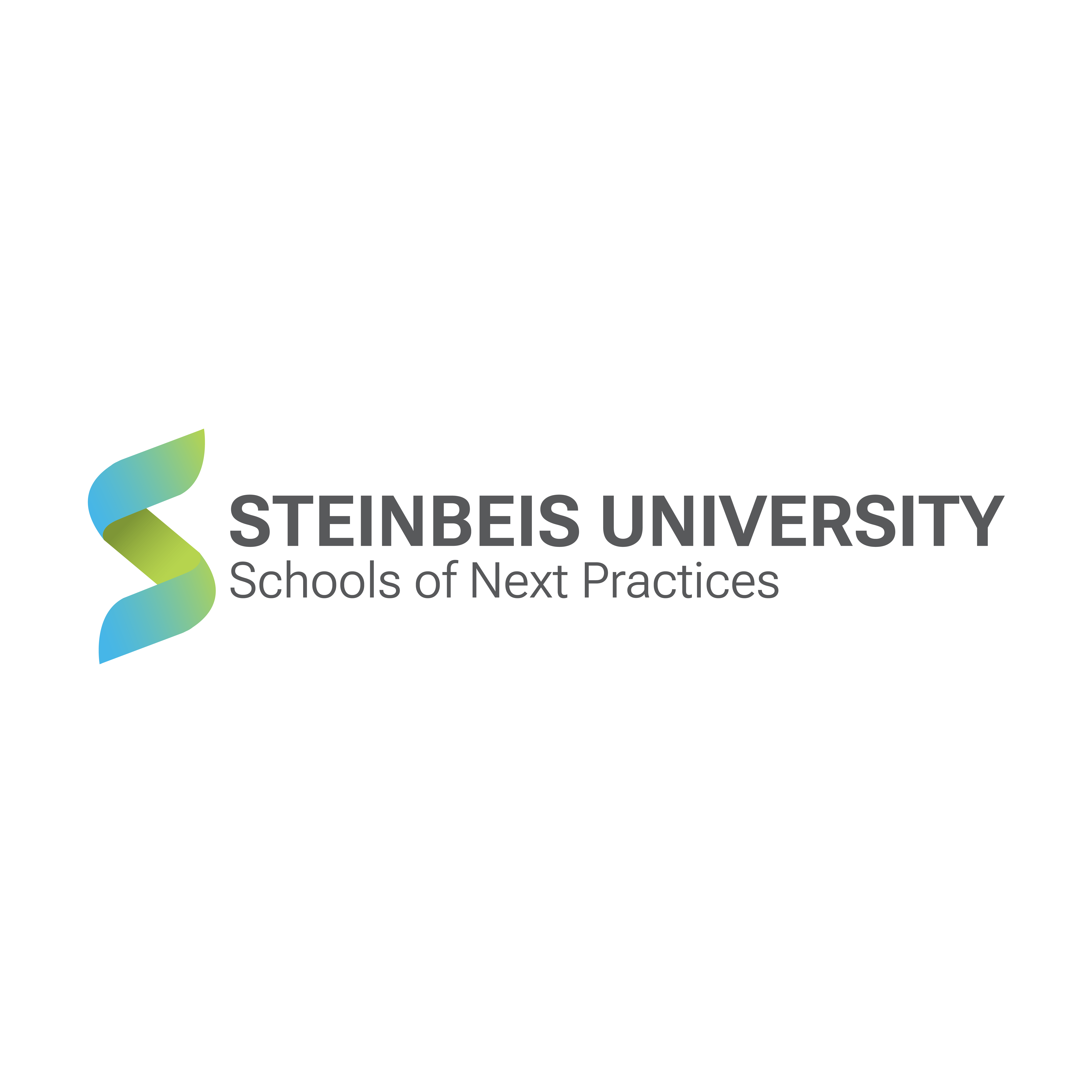 Steinbeis University Germany