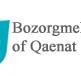 Bozorgmehr University of Qaenat Iran