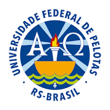 Federal University of Pelotas Brazil