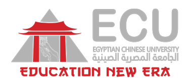 The Egyptian Chinese University Egypt