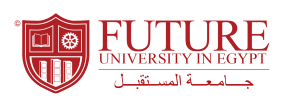 Future University Egypt Egypt
