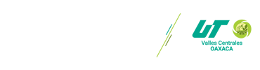 Technological University of the Central Valley of Oaxaca Mexico