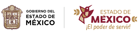 Ecatepec Valley State University Mexico