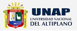 National University of the Altiplano of Puno Peru