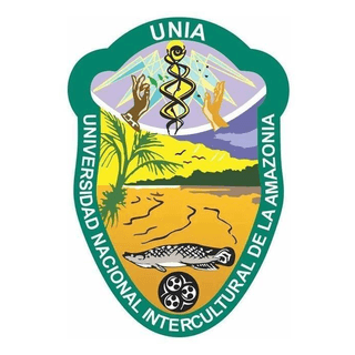 National Intercultural University of the Amazon Peru